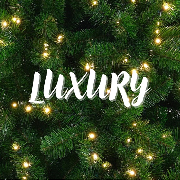 โก๏ธ - Picture 5 of 8